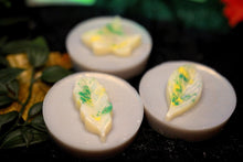 Load image into Gallery viewer, Literally Dead Wax Melt (Crunchy Leaf scent)