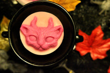 Load image into Gallery viewer, Smelly Cat Wax Melt (Berry Scent) Soy Wax in a 45g Pot or 20g Skulls.