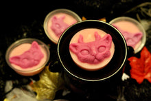 Load image into Gallery viewer, Smelly Cat Wax Melt (Berry Scent) Soy Wax in a 45g Pot or 20g Skulls.