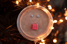 Load image into Gallery viewer, Rudolph Wax Melt (Chocolate and hazelnut Scent)
