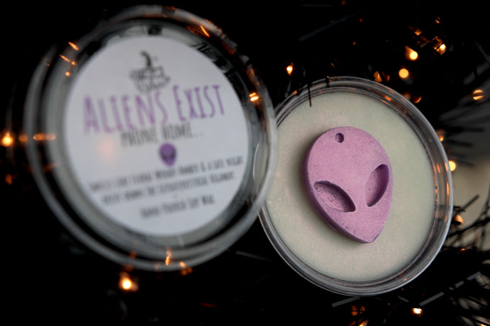 Aliens Exist Wax Melt (Inspired by a well known Alienated Perfume). Soy Wax Melt in a 45g Wax Melt Pot or 3D 20g Skull Wax Melts.