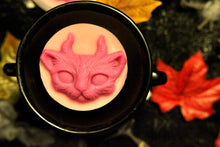 Load image into Gallery viewer, Smelly Cat Wax Melt (Berry Scent) Soy Wax in a 45g Pot or 20g Skulls.
